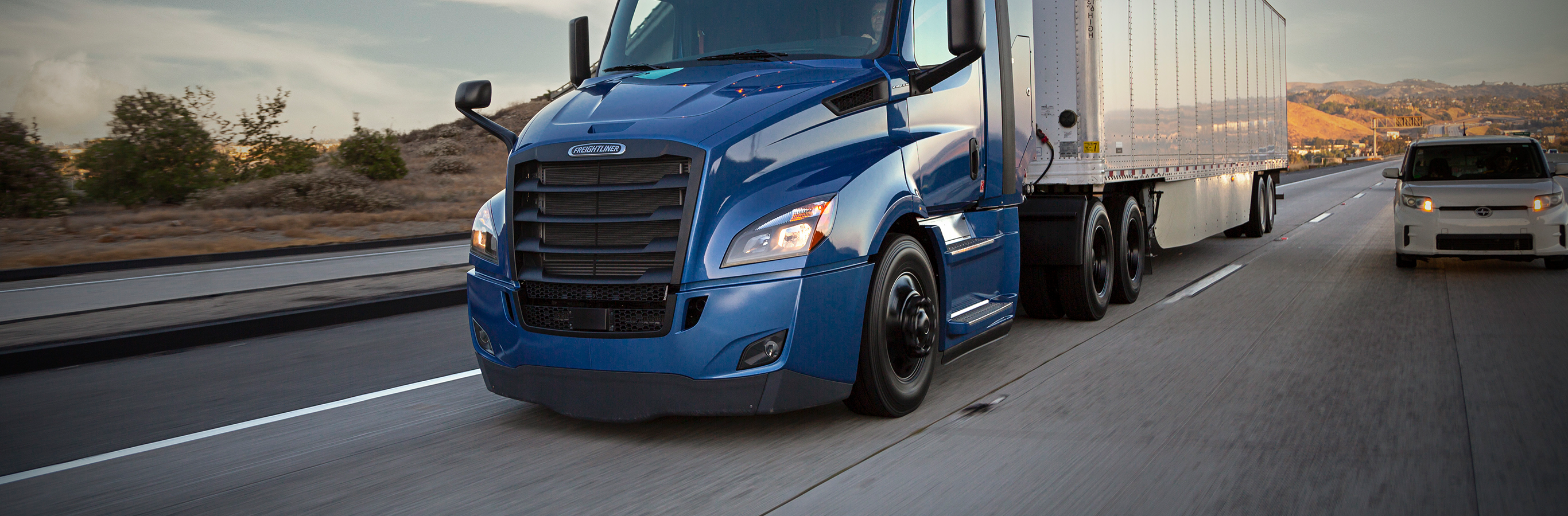 Insurance Policy & Company